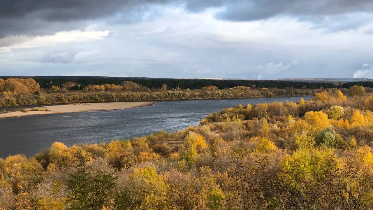 Погода во Владимирской области 10 октября будет ветреной и дождливой