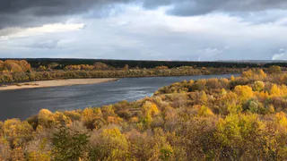 Погода во Владимирской области 10 октября будет ветреной и дождливой