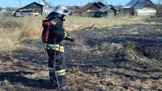 Александровский округ лидирует по числу палов травы во Владимирской области 