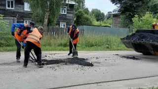 Клумбы, обрезка, ямы и трава: что сделали в Александровском округе за неделю 