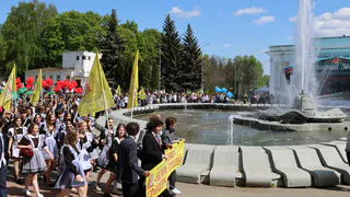 В столице Владимирской области 312 выпускников претендуют на школьные медали