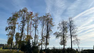 Солнечная и теплая погода ожидает жителей Владимирской области 21 июня