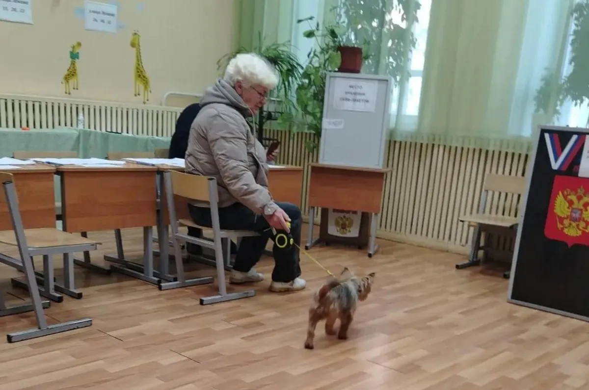 Второй день выборов в Госдуму: жители Александровского округа активно голосуют с самого утра