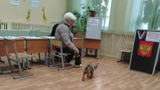 Второй день выборов в Госдуму: жители Александровского округа активно голосуют с самого утра