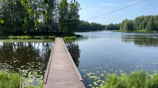 Во Владимирской области ожидается жара до +31 градусов: синоптики рассказали о погоде на 2 июля 