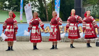 Яркий праздник в Александрове: День города гармонично объединил исторические эпохи и жителей региона