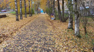 Во Владимирской области в День знаний потеплеет до +24 градусов: синоптики рассказали о погоде на 1 сентября