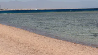 Дешевле Мальдив, а песок такой же белый: нашли место в Каспийском море, о котором молчат туроператоры ради приватности