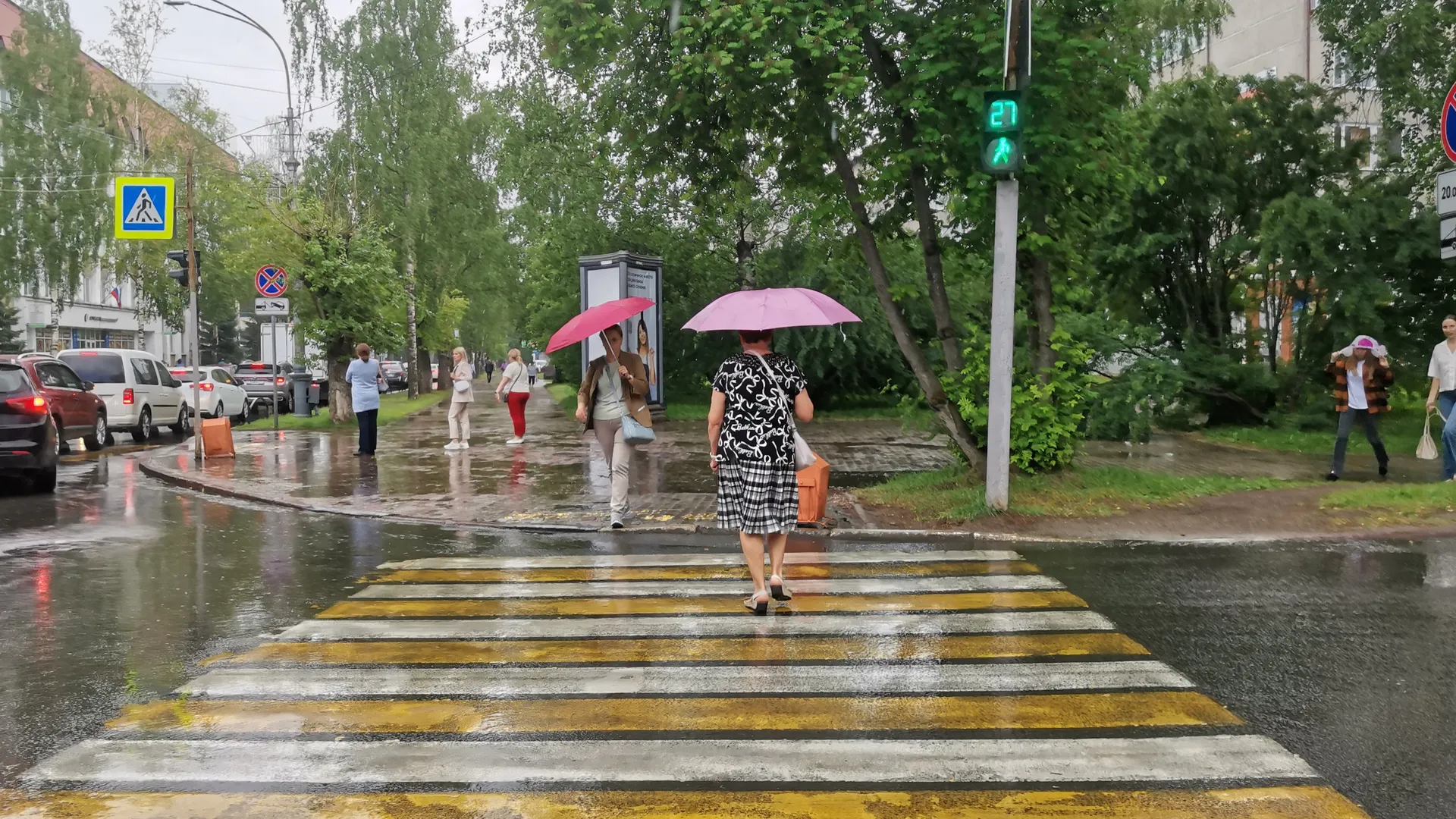 Во Владимирской области 1 июня ожидается дождливая и холодная погода