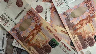 Во Владимирской области возбуждены уголовные дела по факту незаконной вырубки леса на 4,7 миллионов рублей  