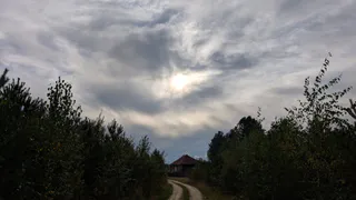 Во Владимирской области потеплеет до +22 градусов: синоптики рассказали о погоде на 27 августа