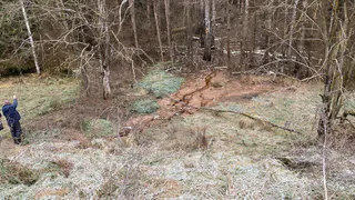 Почва отравлена в 36 раз: на мусорном полигоне во Владимирской области нашли превышение сульфатов и аммония 