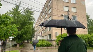 Грозы и дожди придут во Владимирскую область: синоптики рассказали о погоде на 25 мая 