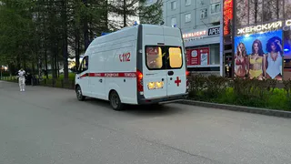 Во Владимирской области гадюка укусила женщину во время посадки картофеля 