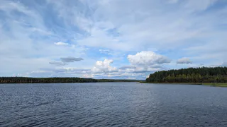 Прогноз погоды во Владимирской области на 29 августа: сухая и комфортная атмосфера без дождей