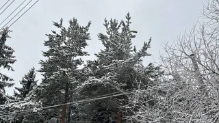 Александровский район третий день устраняет последствия рекордного апрельского снегопада