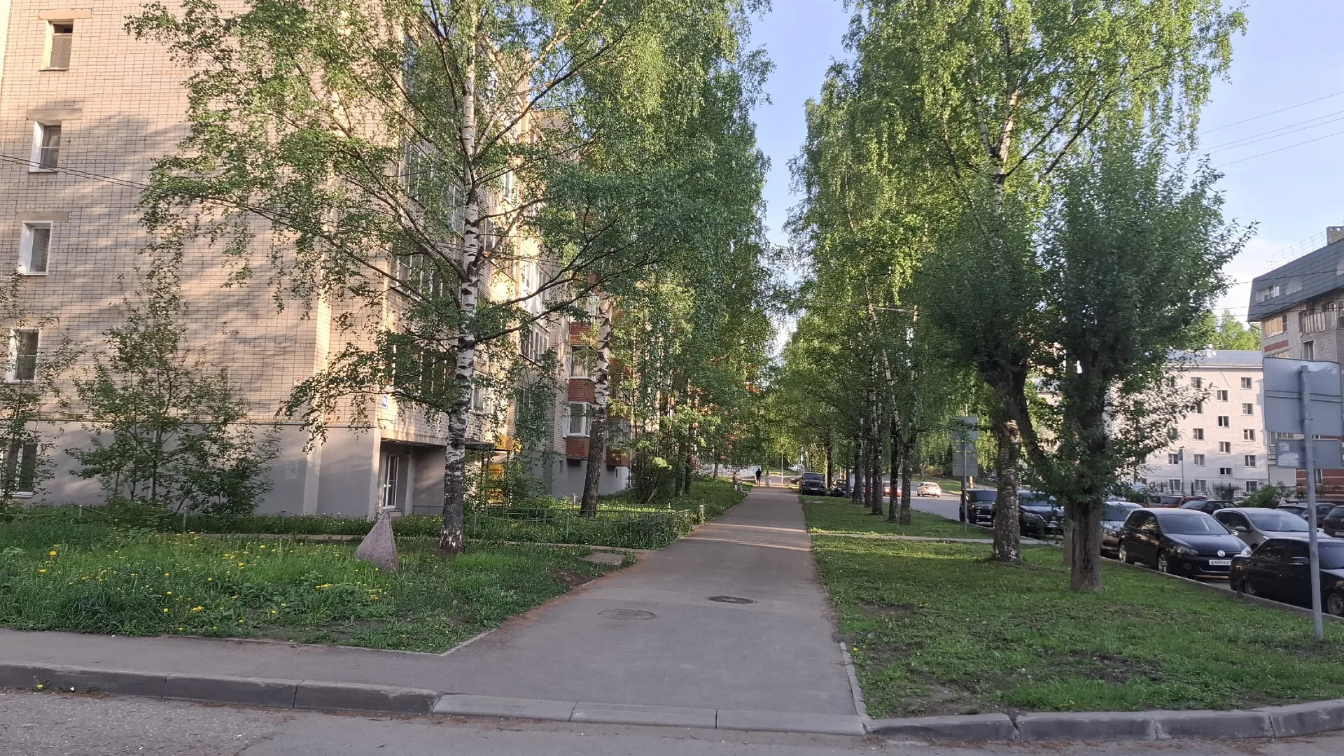 Во Владимирской области потеплеет до +24 градусов: синоптики рассказали о погоде на 14 июля