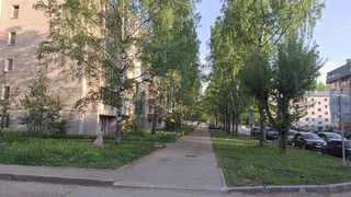Во Владимирской области потеплеет до +24 градусов: синоптики рассказали о погоде на 14 июля