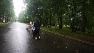 Прокуратура во Владимирской области заставила чиновников исправить ошибку в начислении детского пособия