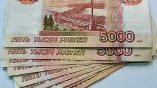 Под Александровым обнаружили свалку из бараньих шкур и голов