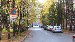 Во Владимирской области похолодает до +4 градусов: синоптики рассказали о погоде на 1 октября 