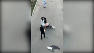В Александрове перед судом предстанет женщина, ударившая участкового