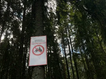 Александровская городская прокуратура выявила грубые нарушения пожарной безопасности на четырёх арендованных участках лесного фонда