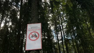 Александровская городская прокуратура выявила грубые нарушения пожарной безопасности на четырёх арендованных участках лесного фонда