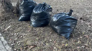 В Александрове на воинском захоронении прошёл субботник, в котором объединились местные чиновники и школьники