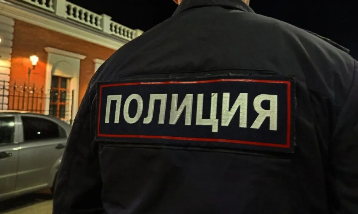 Во Владимирской области будут судить пьяного дебошира, избившего случайного прохожего палкой