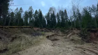 Во Владимирской области суд обязал фирму-недропользователя восстановить земли после добычи песка на двух участках 