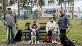 Незрячие жители Владимирской области получат выплаты на корм для собак-проводников