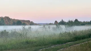 Во Владимирской области ожидается аномальная жара до +33 градусов: синоптики рассказали о погоде на 7 августа 