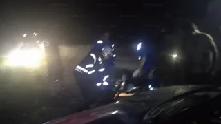 На трассе во Владимирской области водитель сбил лося