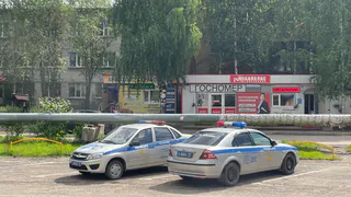 Во Владимирской области полицейские задержали нетрезвого угонщика «девятки» после погони со стрельбой по колёсам