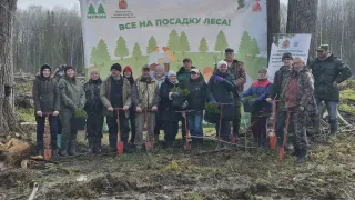 Во Владимирской области высаживают “Сад памяти” из 25 тысяч сосен