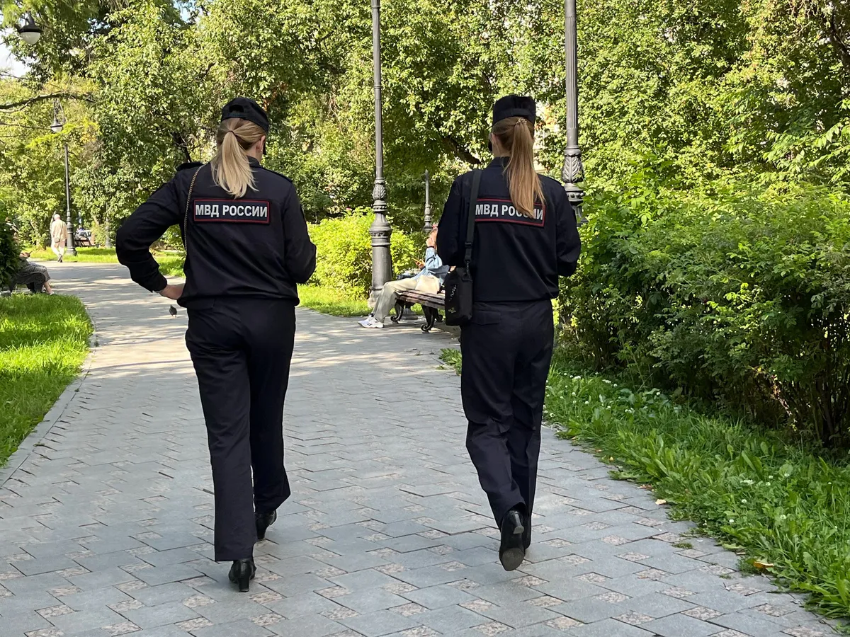 В Александровском округе завели административные дела за распитие алкоголя и шум в общественных местах