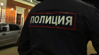 В Александрове у 36-летнего мужчины обнаружили более 300 кустов запрещённых растений