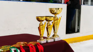 Владимирские гимнастки триумфально выступили на чемпионате Европы