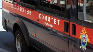 Во Владимирской области вынесен приговор двум "наркоплантаторам"