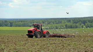 Во Владимирской области завершается посевная кампания
