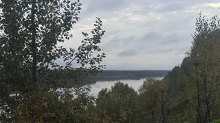 Во Владимирской области потеплеет до +15 градусов: синоптики рассказали о погоде на 5 октября