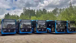 Один из городов Владимирской области получил 18 новых автобусов 