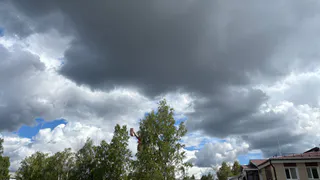 Во Владимирской области ожидается +28 градусов: синоптики рассказали о погоде на 6 августа 