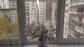 Тюль и тяжелые шторы — это прошлый век: в 2026 выбираем другое — 7 причин для стильного и практичного окна