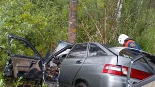 Во Владимирской области спасатели извлекли погибшую женщину из разбитого автомобиля после ДТП