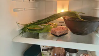 Посудные губки кладу в морозилку и цветочные горшки - не могу нарадоваться результату: 10 лайфхаков с губками для посуды для умных хозяек
