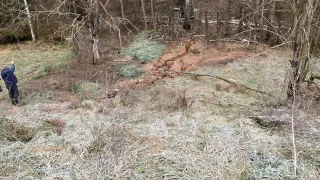 Во Владимирской области из-за утечки с полигона в Марьинке почву испортили на миллион рублей
