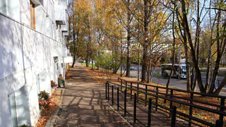 Во Владимирской области потеплеет до +14 градусов: синоптики рассказали о погоде на 8 октября