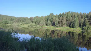Трагедия на воде: два смертельных случая зафиксированы во Владимирской области 8 августа